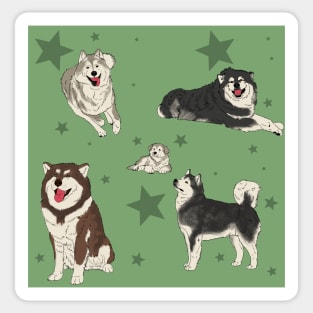 Alaskan Malamute Pattern Sage Sticker